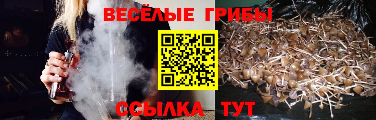 Псилоцибиновые грибы Cubensis Кудрово